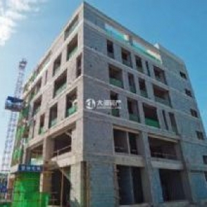 高新区 独栋研发企业总部 2300㎡ 7000元平方米