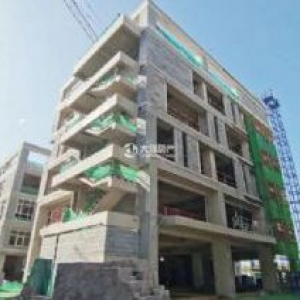 高新区标准工业园区 独栋企业总部 2300㎡研发办公 7000元平方米