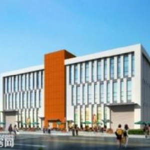 富阎新区管委会旁独栋大平层厂房 50年产权 可定制 可按揭