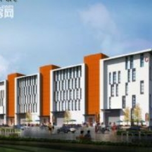 富阎新区独栋框架市厂房 可定制 可按揭 可环评
