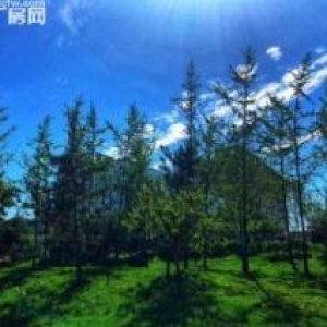 富阎新区全新厂房付款灵活可办环评