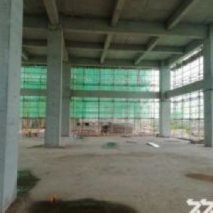 全新产业园区，50年独立产权，可按揭 可办环评