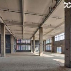 别墅级企业独栋 标准化厂房 大产权办环评 不满意就退款