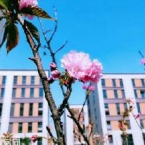 咸阳秦都 高新区 多面积厂房出售 价格优惠