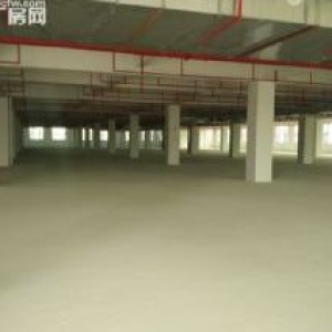 龙海独门独院50000平方全新厂房招租