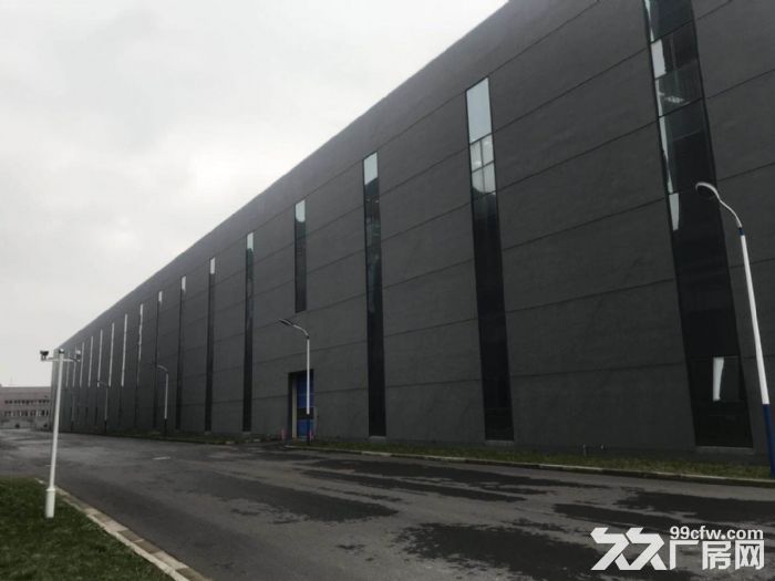 金山工业园区月工路厂房出租-图1