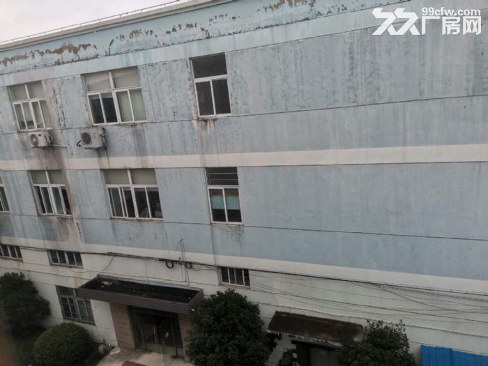 0.6元出租赵巷工业园区104地块有环氧可分租-图7