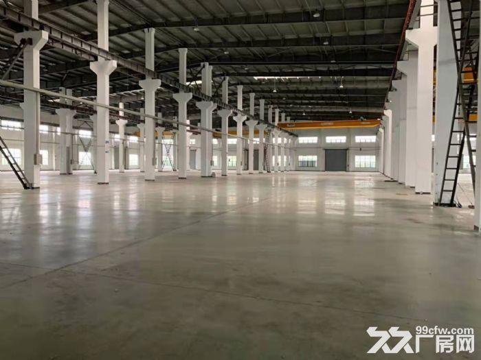 奉城一房东直租独门独院5600平方标准厂房-图1