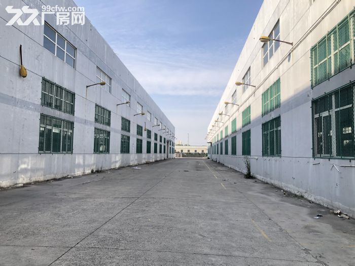 松江保税区无税收要求实地落户即可独栋5100平米单层厂房出租-图1