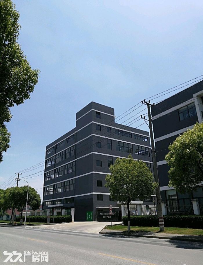 松江工业区独立层面617平米全新厂房单价仅0.7元含税-图1
