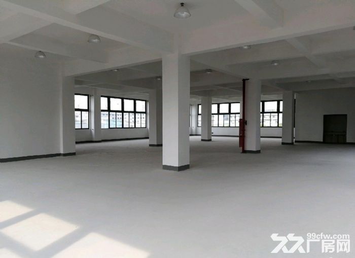 松江工业区独立层面617平米全新厂房单价仅0.7元含税-图3