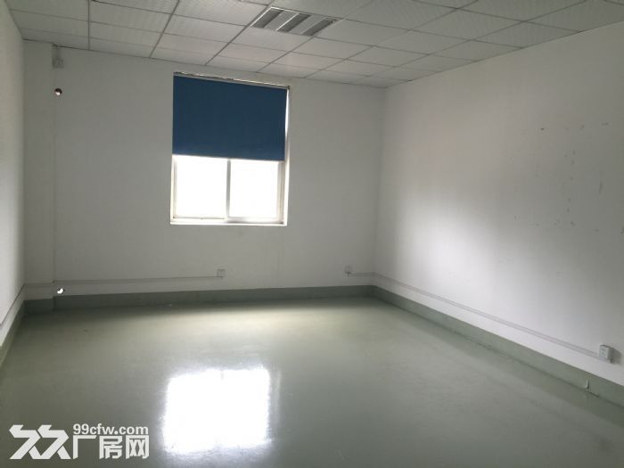 松江荣乐东路全新园区独栋1940平米单层厂房出租-图4