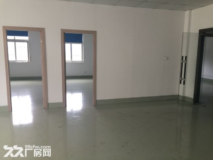 松江荣乐东路全新园区独栋1940平米单层厂房出租-图3