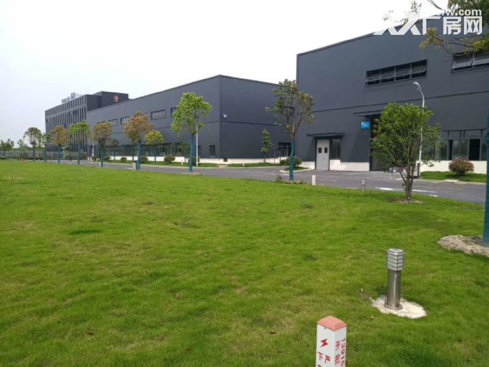 松江小昆山思贤路单层厂房1200平 3000平出租 高10米-图6