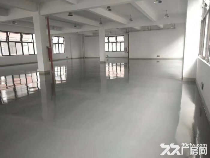 紧邻松江万达 高颜值独栋4100平厂房出租 可分租 已装修-图4
