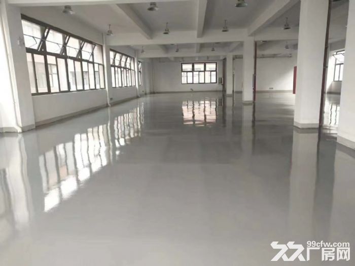 紧邻松江万达 高颜值独栋4100平厂房出租 可分租 已装修-图2