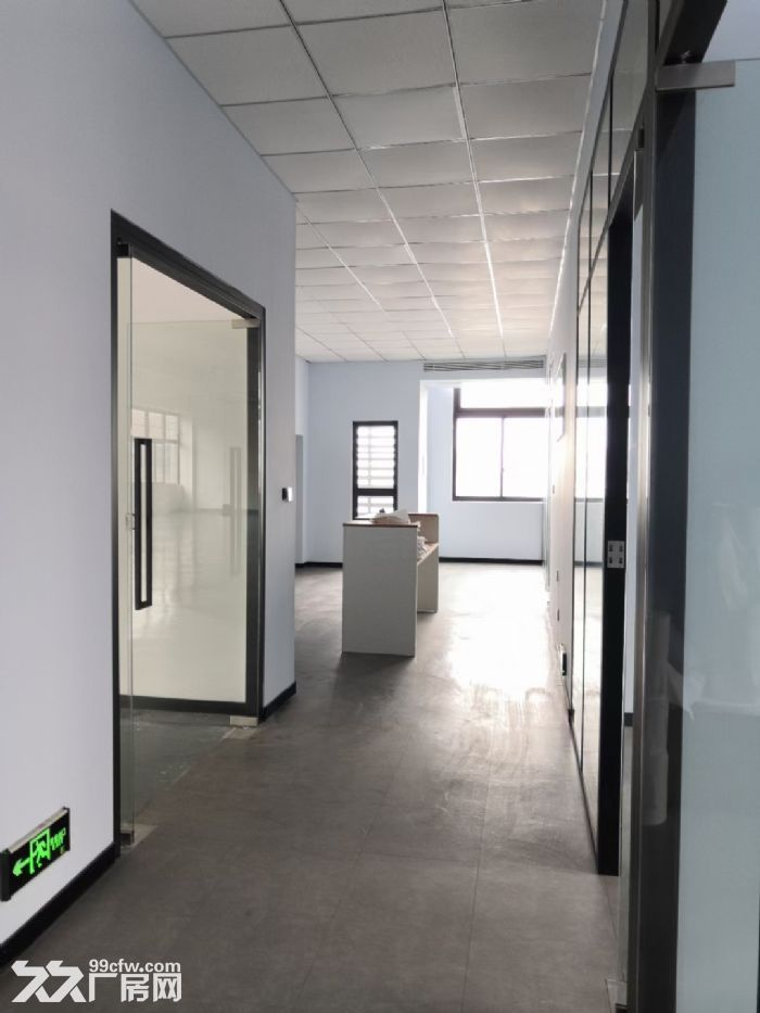 紧邻松江万达 高颜值独栋4100平厂房出租 可分租 已装修-图6