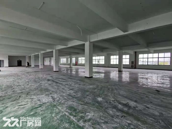 新桥大房东 整层550平 1300平出租 无公摊 可环评 开发票-图5