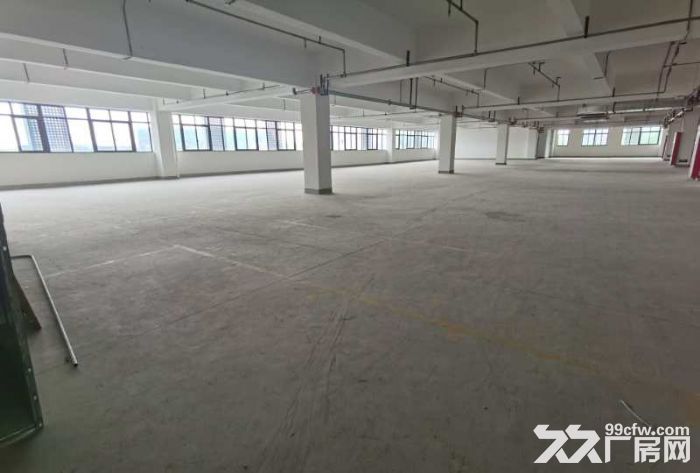 新桥无公摊全新园区精装修车间，小面积210平米起租，含税-图5