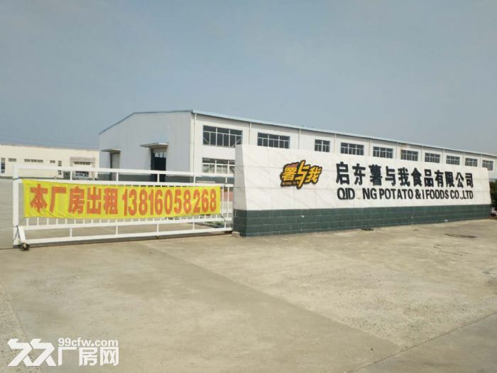 启东市滨海工业园区32000平分割出租-图7