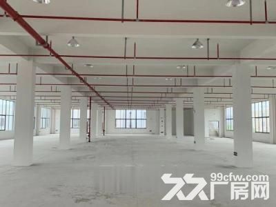 江苏启东高新区家具油漆厂房招租-图2