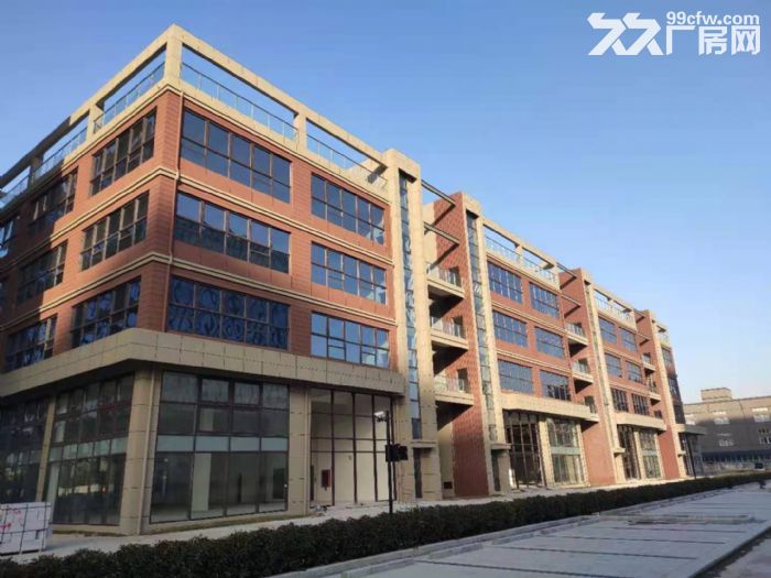 市区新建园区，独栋，大平层3.6万平可分割，地段好，结构好-图2