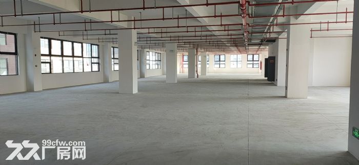 市区新建园区，独栋，大平层3.6万平可分割，地段好，结构好-图3