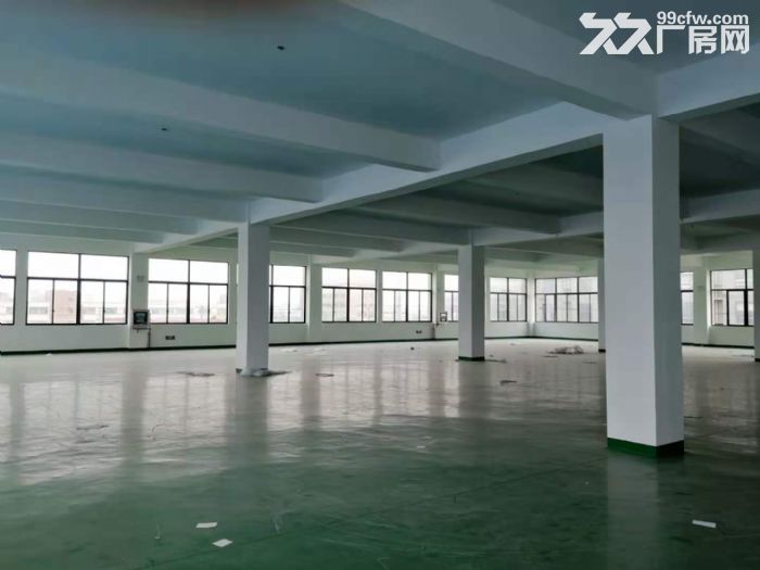 开发区 振兴路 新厂房优惠出租-图2