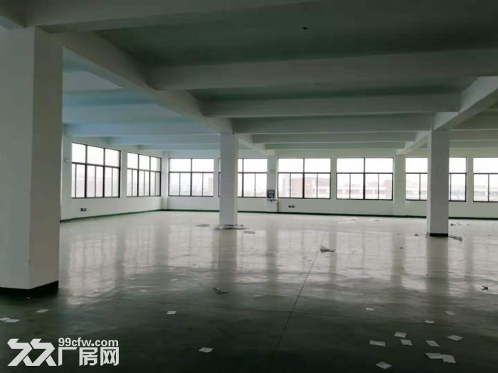 开发区 振兴路 新厂房优惠出租-图1