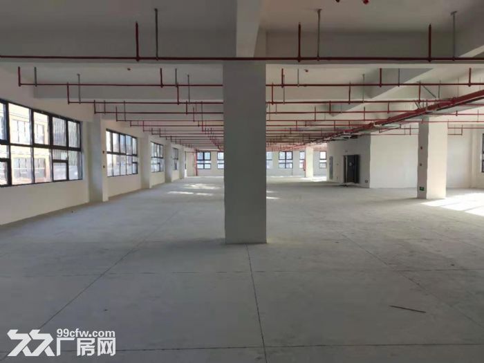 市中心新建高档园区，3.6万平可分割，独栋，大平层，办公，研发，展厅，总部-图7