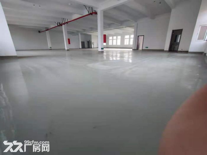 一手业主低价直租，1600平标准厂房，户型板正，双货梯，可环评开发票-图1