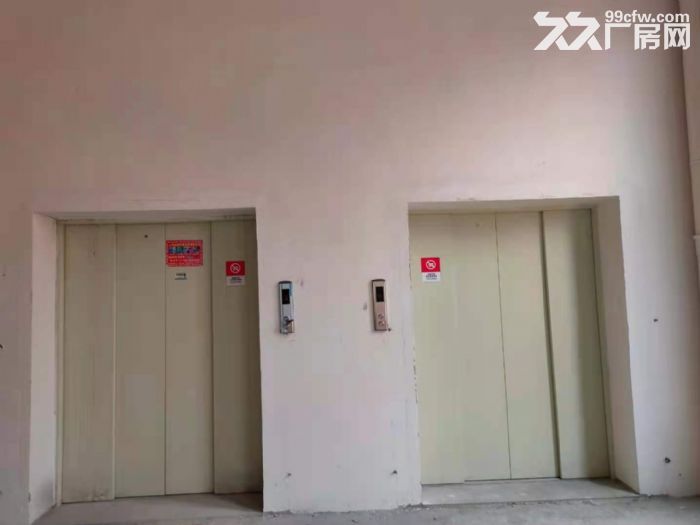 一手业主低价直租，1600平标准厂房，户型板正，双货梯，可环评开发票-图4