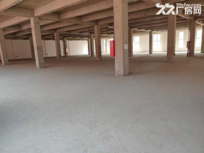 一手业主低价直租，1600平标准厂房，户型板正，双货梯，可环评开发票-图5