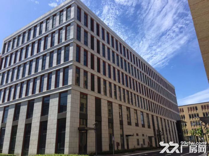 (出租) 104地块全新厂房开发商直营政府房租补贴大张江政策-图1