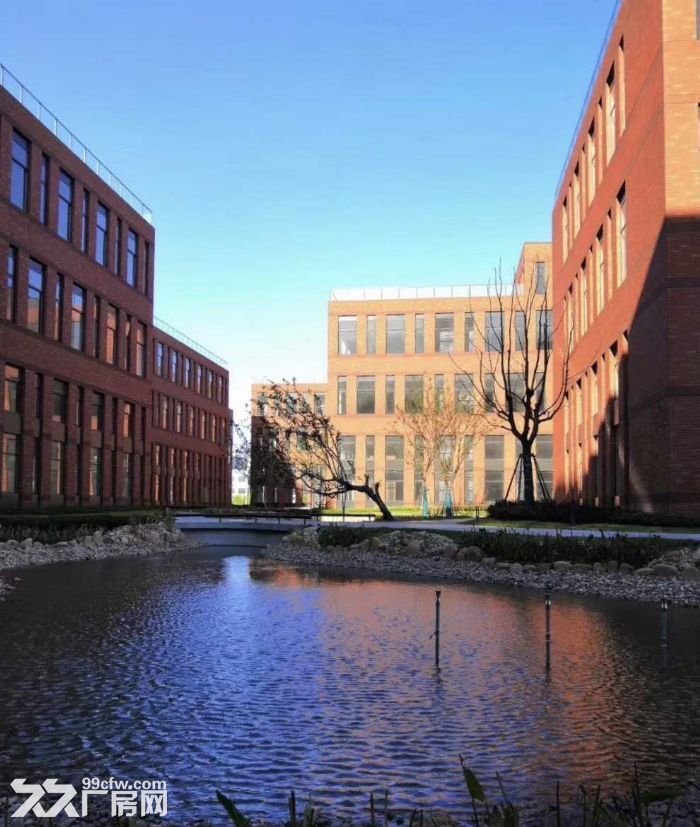 (出租) 104地块全新厂房开发商直营政府房租补贴大张江政策-图3