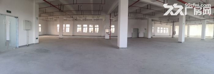 (出租) 104地块全新厂房开发商直营政府房租补贴大张江政策-图4