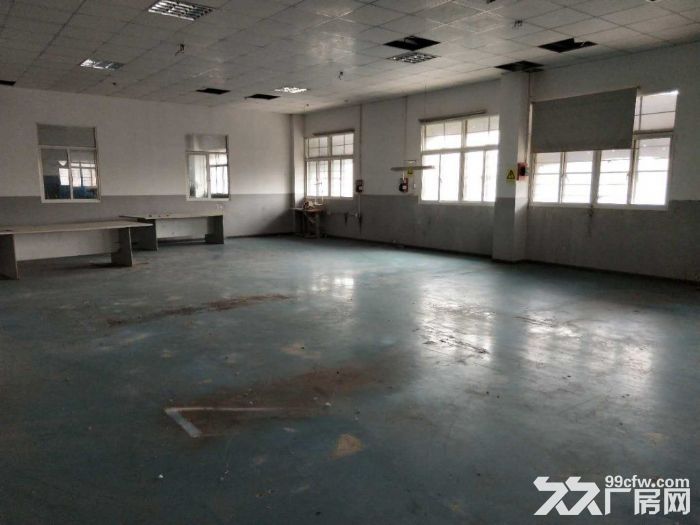 孙桥镇新出独门独院360平仓库-图5