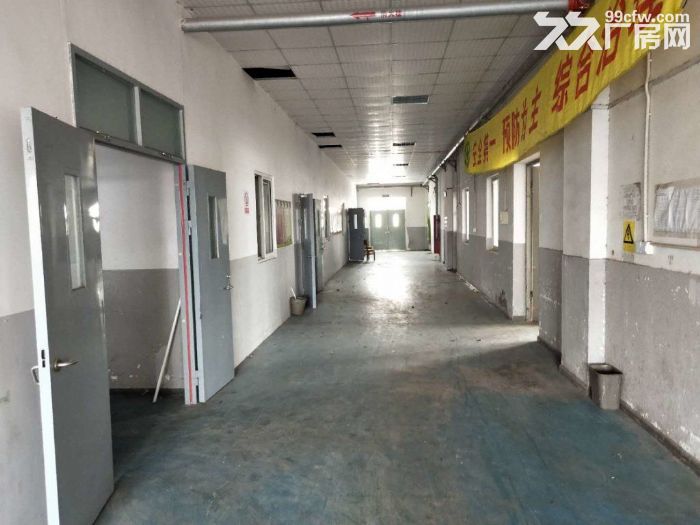 孙桥镇新出独门独院360平仓库-图2