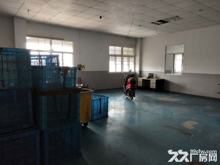 孙桥镇新出独门独院360平仓库-图1