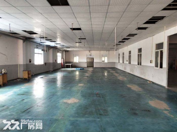 孙桥镇新出独门独院360平仓库-图4