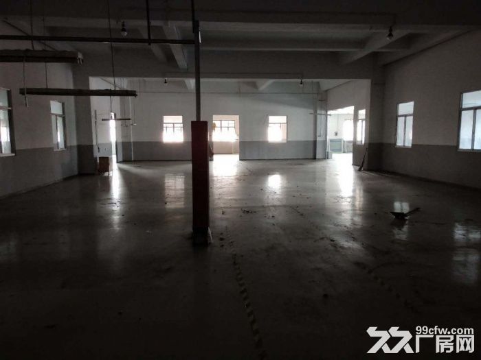 孙桥镇新出独门独院360平仓库-图3