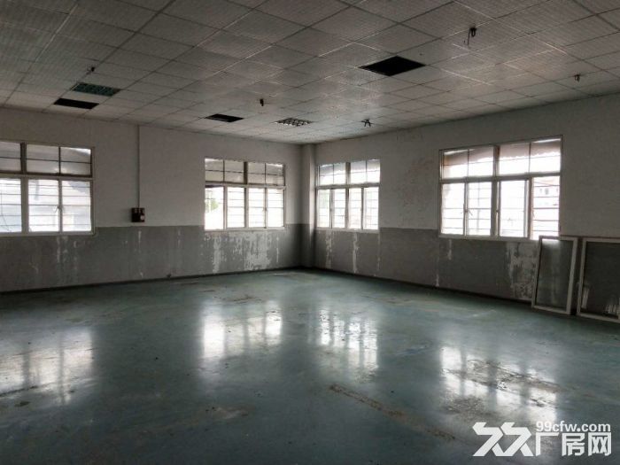 孙桥镇新出独门独院360平仓库-图7