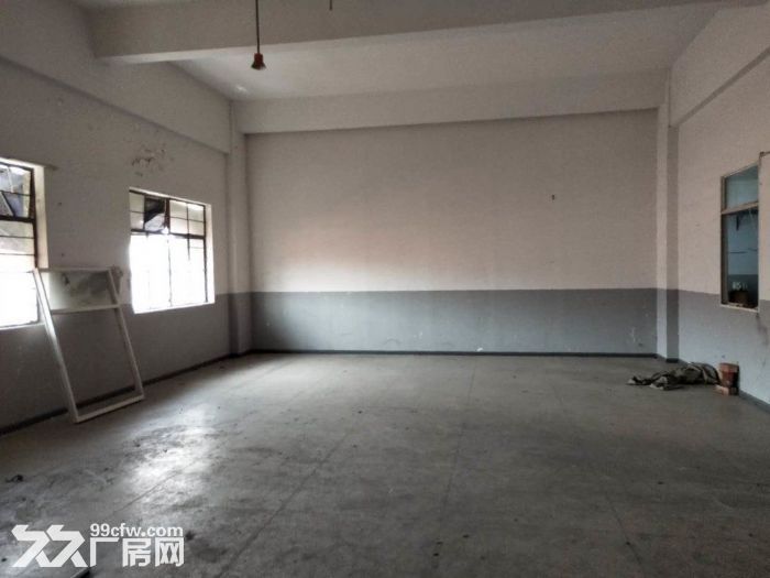 孙桥镇新出独门独院360平仓库-图6