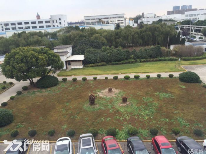 康桥主干道2000平起租，适汽车4S店，展示展厅，体育运动-图2