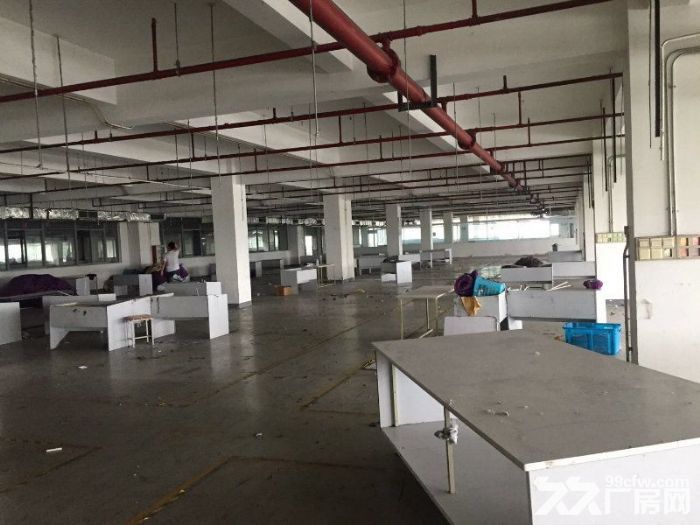 张江园区外环出入口附近底楼500平厂房出租-图3