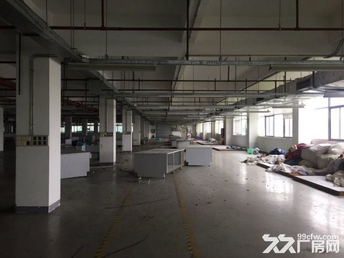 张江园区外环出入口附近底楼500平厂房出租-图4