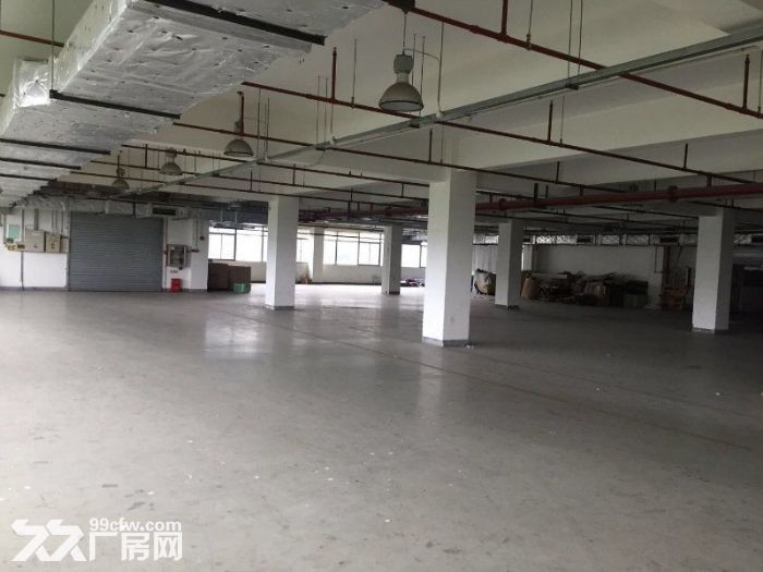 张江园区外环出入口附近底楼500平厂房出租-图5