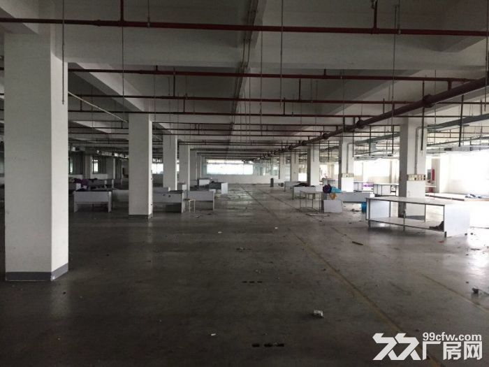 张江园区外环出入口附近底楼500平厂房出租-图6