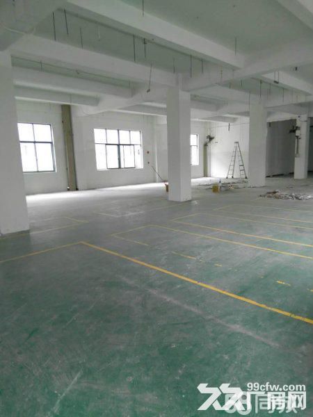 张江地铁沿线生物医疗办公仓储研发900平厂房出租-图3