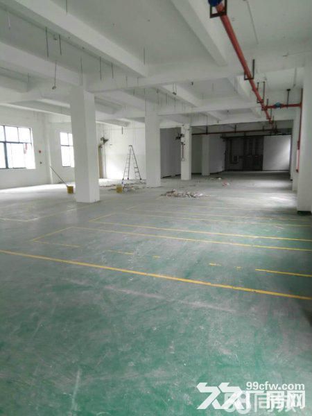 张江地铁沿线生物医疗办公仓储研发900平厂房出租-图4